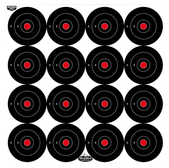 Birchwood Casey 35309 Paper Targets