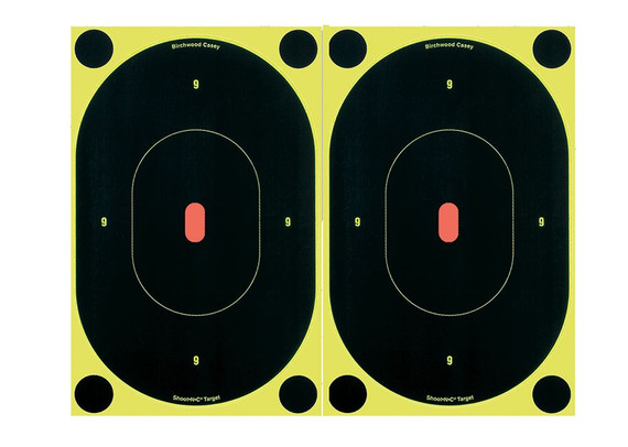 Birchwood Casey 34710 Paper Targets