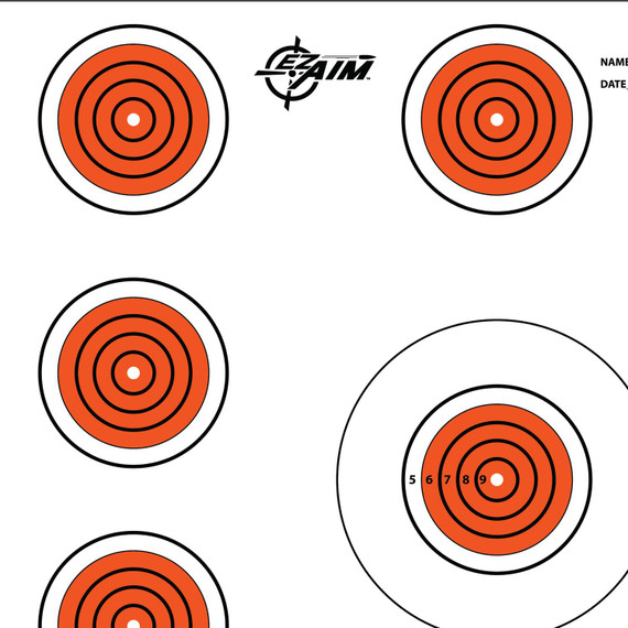 EZ-Aim 15245 Indoor SPOT Hanging 12 in x 12 in Orange/White 13 Per Pkg Paper Targets