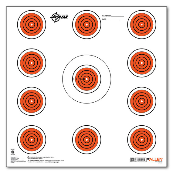EZ-Aim 15245 Indoor SPOT Hanging 12 in x 12 in Orange/White 13 Per Pkg Paper Targets