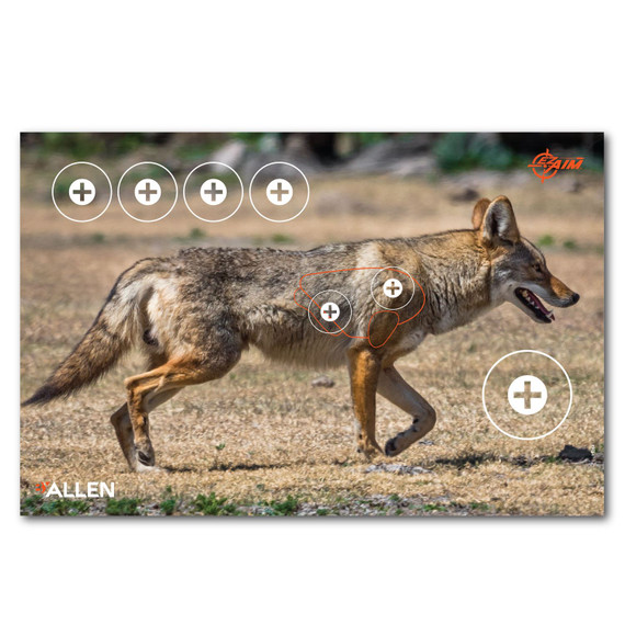 EZ-Aim 15284 Four Color Coyote Hanging 23 in x 35 in Multi-Color 2 Per Pkg Paper Targets