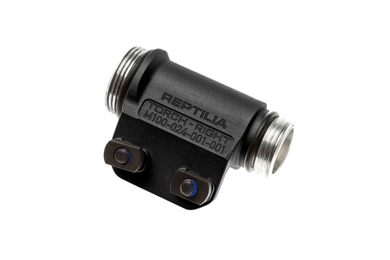 Reptilla 100043
