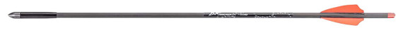 Fenix AX10001