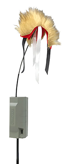 Foxpro XDECOY