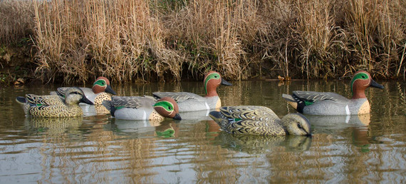 Higdon Outdoors 19943 Standard Teal Green Wing Teal Species Multi Color Foam Filled 6 Pack Decoy
