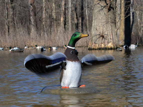 Higdon Outdoors 53072 XS Floating Flasher Mallard Drake Species Multi Color Decoy