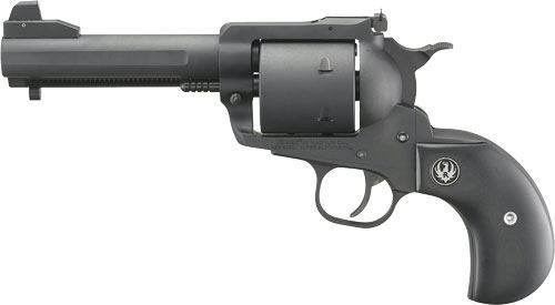 Ruger Firearms 0875