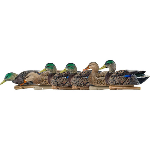 AvianX Top Flight Duck Decoys Early Season Mallards 6 pk. AVX-AVX8062