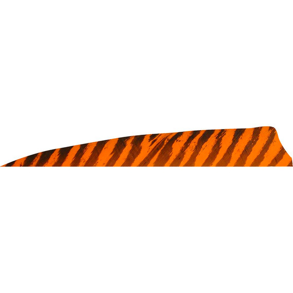 Gateway Shield Cut Feathers Barred Orange 4 in. LW 50 pk. 400LSBOR-50