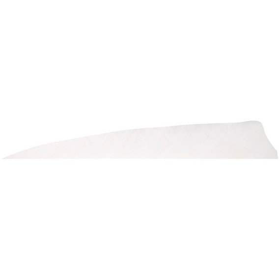 Gateway Shield Cut Feathers White 4 in. RW 100 Pk. 400RSSFW-100