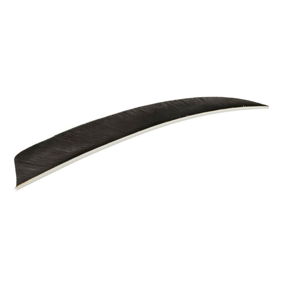 Trueflight Shield Cut Feathers Black 5 in. LW 100 pk. 1908