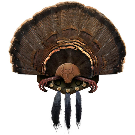 Mountain Mikes Beard Collector Display 5 Beards MMR BC