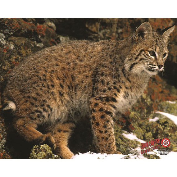 DuraMesh Archery Target Bobcat 25 in. x 32 in. DM205
