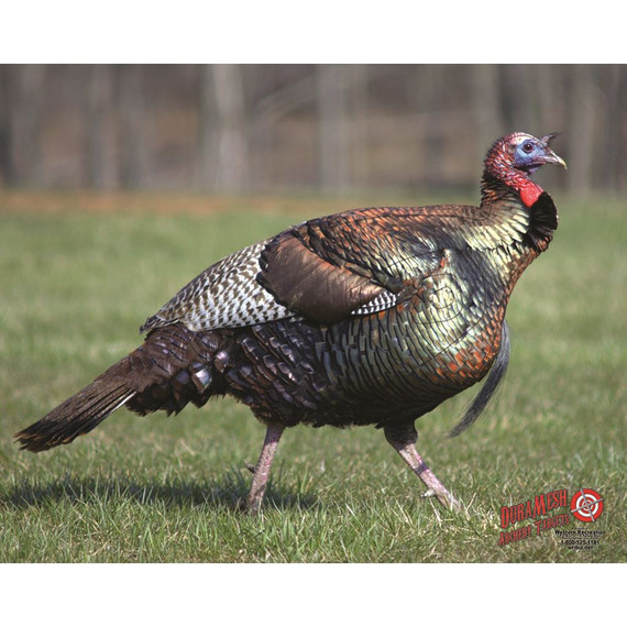 DuraMesh Archery Target Turkey 25 in. x 32 in. DM217
