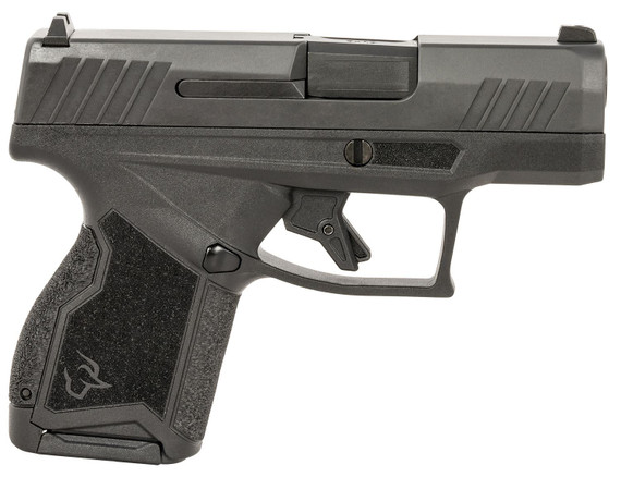 Taurus 1GX4M931CK7