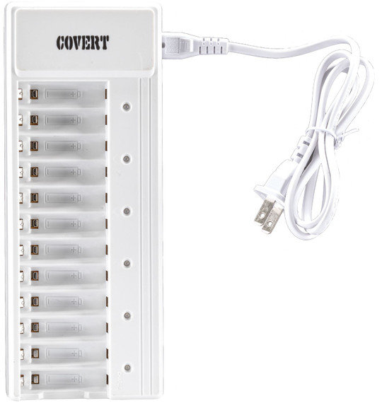 Covert 2038