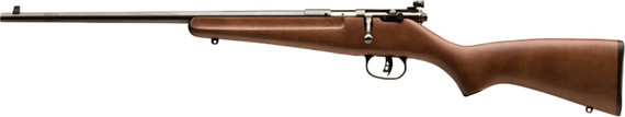 Savage Arms 13820