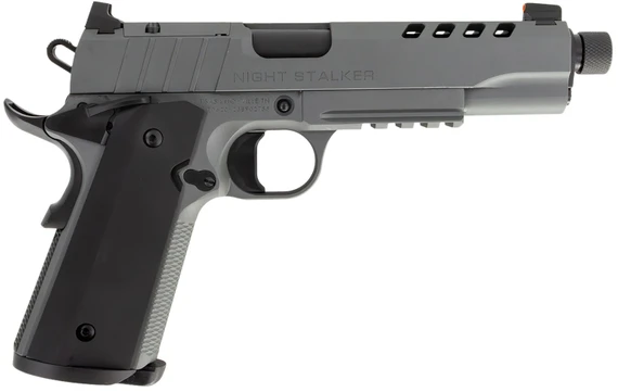 Tisas 10100558 1911 Night Stalker SF 10mm Auto 8+1, 5 Black Steel Threaded Barrel, Platinum Gray Cerakote Serrated w/Slide Cuts Steel Slide & Steel Frame w/Beavertail & Pic Rail, Ambi, Pistol