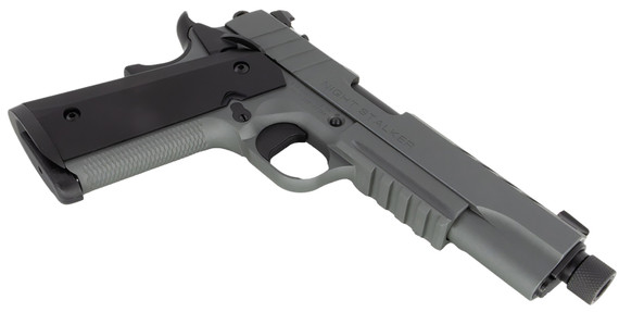 Tisas 10100558 1911 Night Stalker SF 10mm Auto 8+1, 5 Black Steel Threaded Barrel, Platinum Gray Cerakote Serrated w/Slide Cuts Steel Slide & Steel Frame w/Beavertail & Pic Rail, Ambi, Pistol