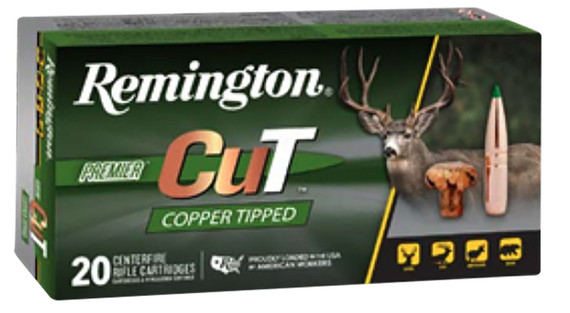 Remington R22344