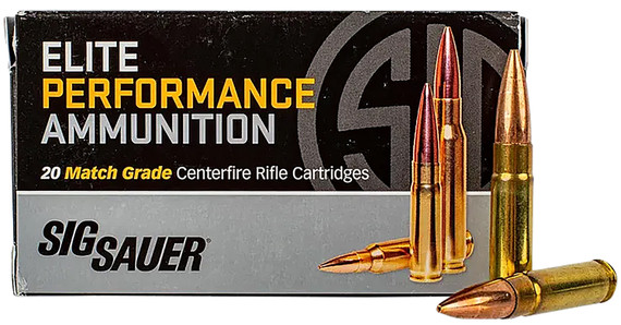 Sig Sauer T300BLK110TTX2 TAC-TX 300Blackout 110gr 20 Per Box/10 Case, Centerfire Rifle Ammo