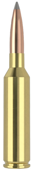 Nosler 61239