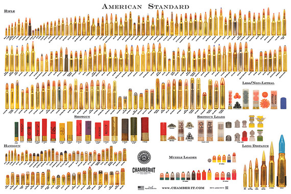 Chamber It AMERICANSTAN American Standard Rifle/Shotgun/Handgun 24 inx 36 in Poster