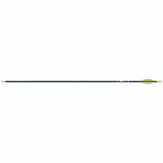 Gold Tip Fiberglass Arrows Black 1 doz FIBA25