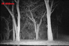 Exterminator 4 Scout Feeder light