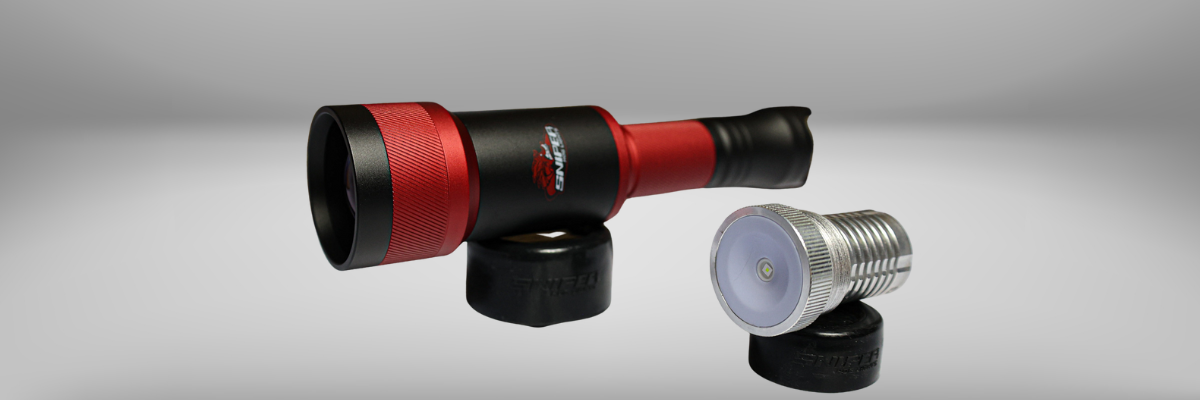 Rifle Mounted Lights