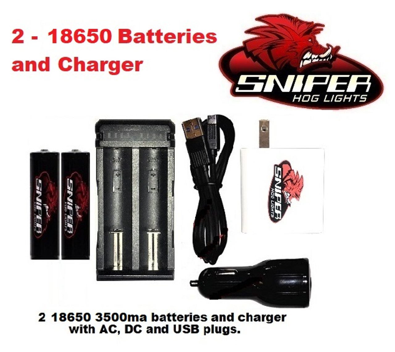 2 18650 batteries and Charger