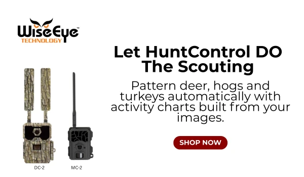 WiseEye trail cameras with HuntControl activity tracking — automatic deer, hog and turkey pattern analysis.