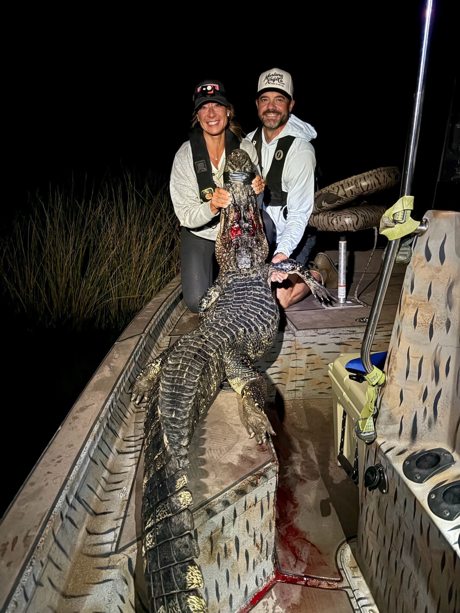 Gator with Hyperion 66 red light