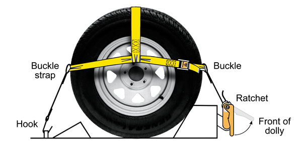 UNIVERSAL TIE DOWN STRAP Roadmaster Inc