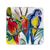 Parrot Family Coasters - Set of 4