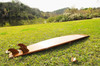 Long Wooden Surf Board - 109" (K015)