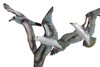 White Elegance Seagull Flock Wall Art - Metal & Capiz