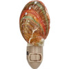 Polished Abalone Shell Night Light 