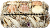 Natural Seashell Treasure Box - 6"