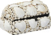 White Seashell Treasure Box - 6"