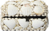 White Seashell Treasure Box - 6"