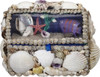 Natural Seashell Treasure Box with Underwater Scene on Lid - 6" - Closed Front