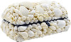 White Shell Treasure Box - 7.25"