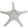 Knobby Starfish in Electro Silver - 9.5" - Set of 2