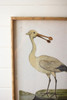 Framed Shore Birds - Set of 2