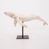 Humpback Whale with Metal Stand- 14.25"