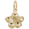 Hawaiian Plumeria Flower Gold Charm - Gold Plate, 10k Gold, 14k Gold