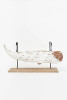 Sperm Whale Figure with  Stand- 29.5"