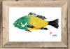 Yellow Green Fish Print with Frame