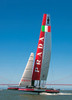 Catamaran Racer - Luna Rossa Prada -  26"